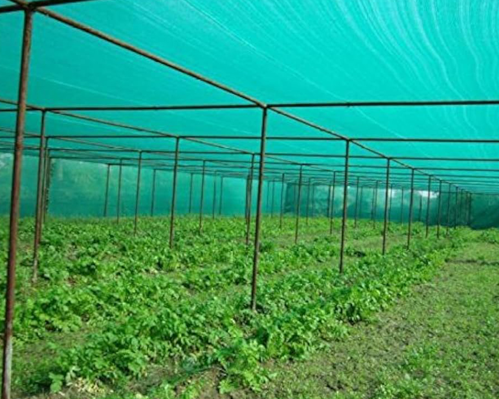 Agro Shade Nets